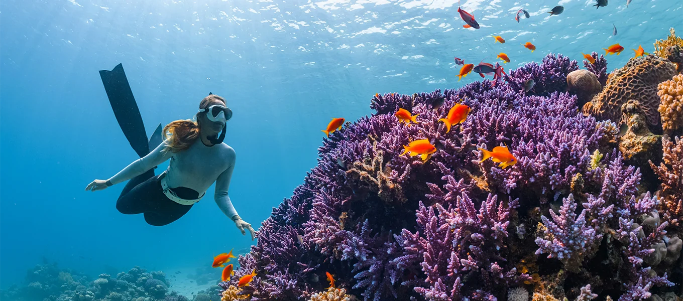 Red Sea Diving & Snorkeling in Hurghada – Top Sites & Guide